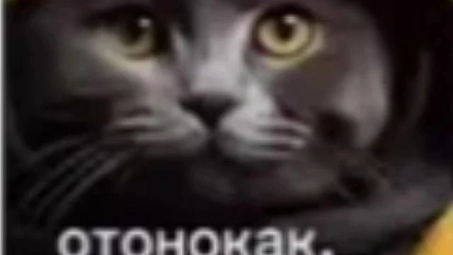 динити