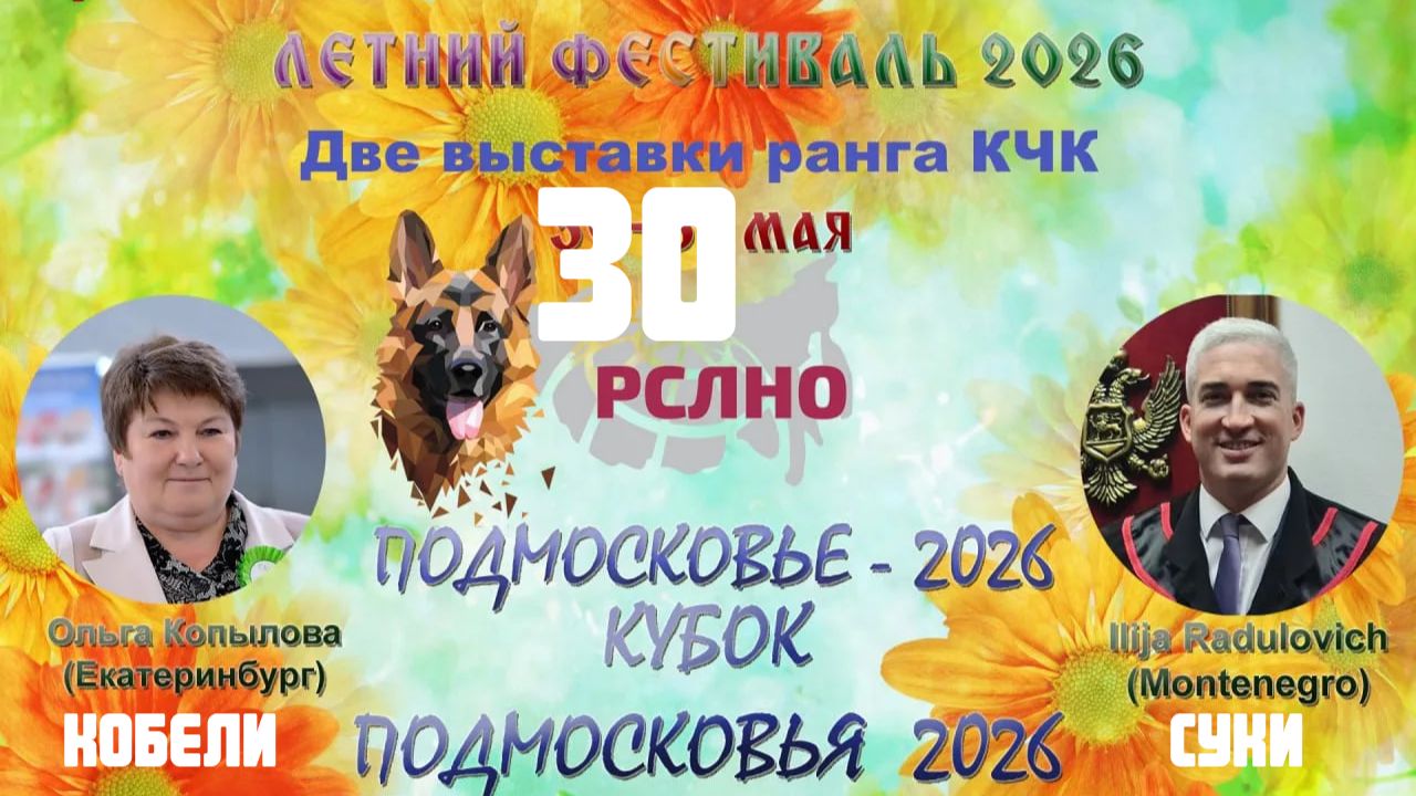 КЧК БРОННИЦЫ 30 мая`26 I.Radulovic, О.Копылова Моно немецких овчарок
