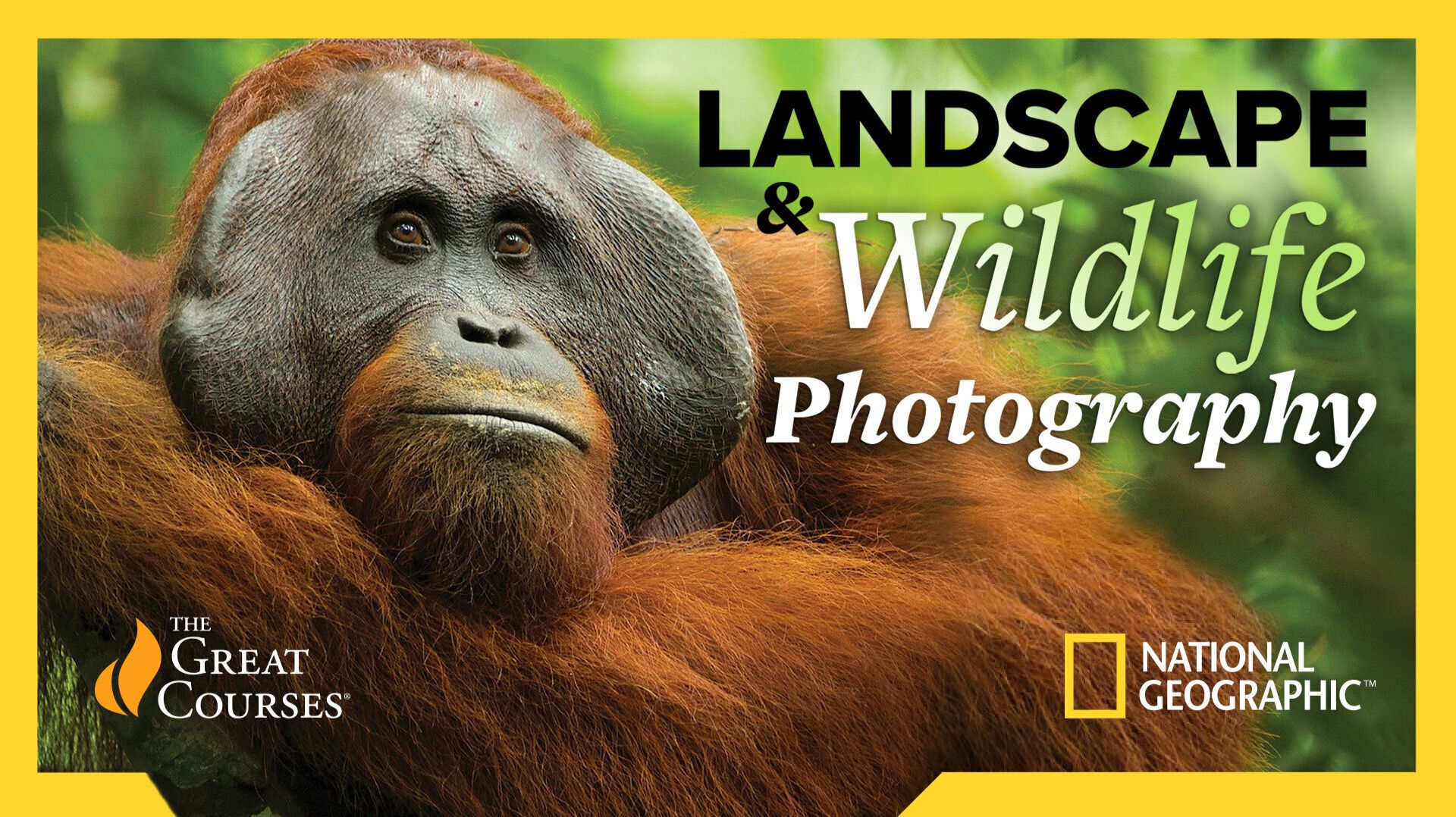 The National Geographic Guide to Landscape and Wildlife Photography