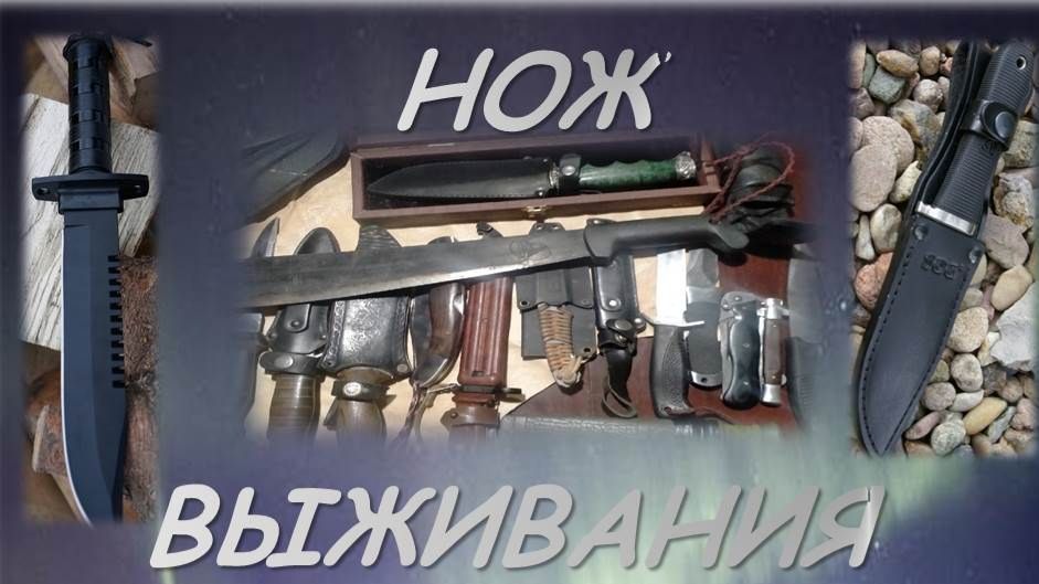 СНАРЯЖЕНИЕ ПУТЕШЕСТВЕННИКА