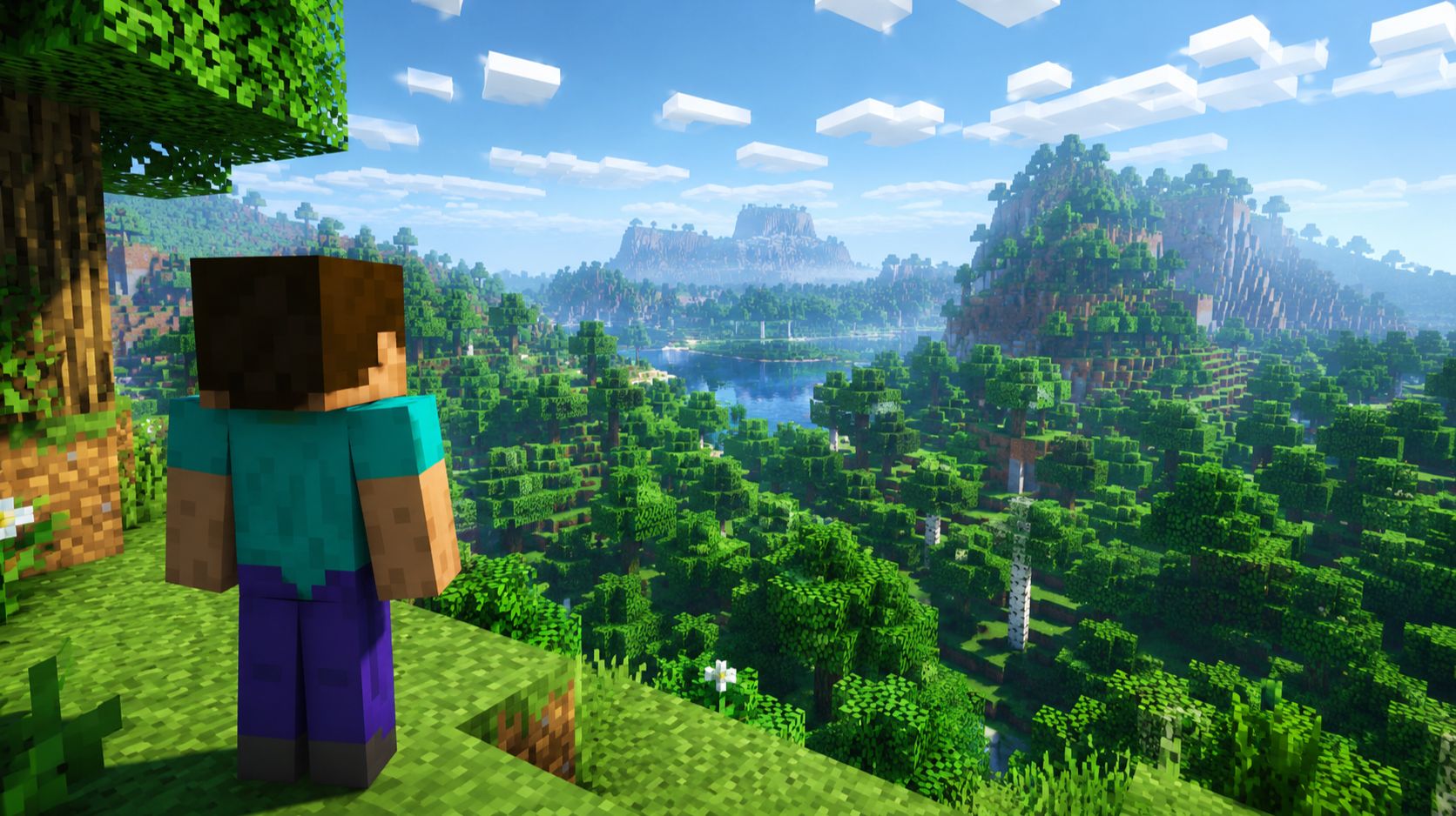 Minecraft