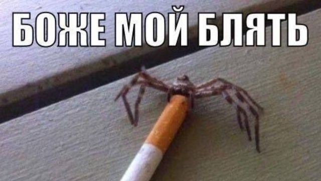 Рандомные мемчики с вк
