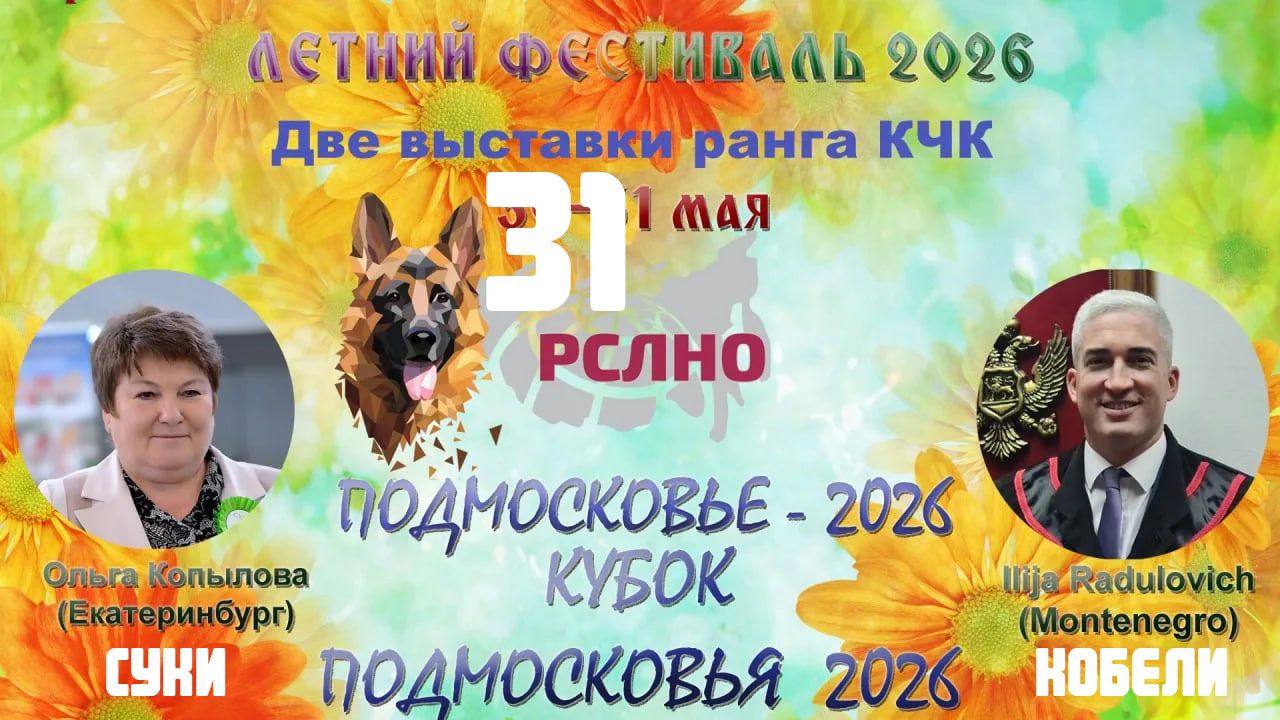 КЧК БРОННИЦЫ 31 мая`26 I.Radulovic, О.Копылова Моно немецких овчарок