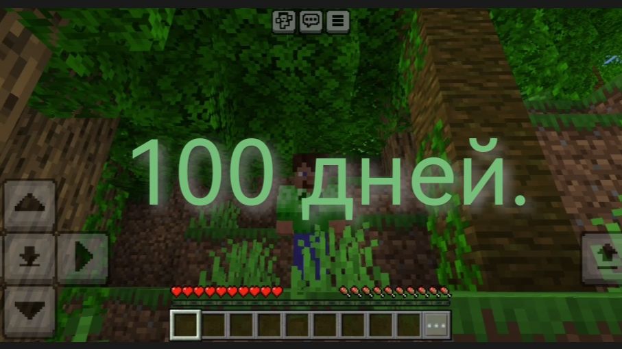 100 дней.