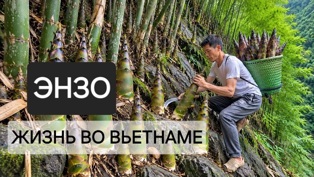 Мистер Энзо