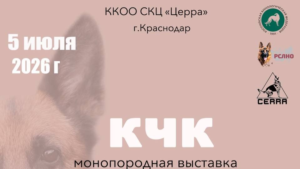 КЧК КРАСНОДАР 5 июля`26 Е.Никитина Моно немецких овчарок
