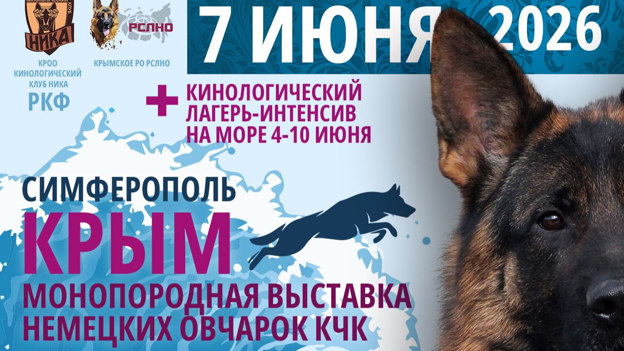 КЧК СИМФЕРОПОЛЬ 7 июня`26 О.Виноградова Моно немецких овчарок