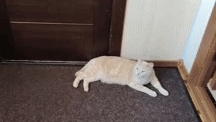 работа