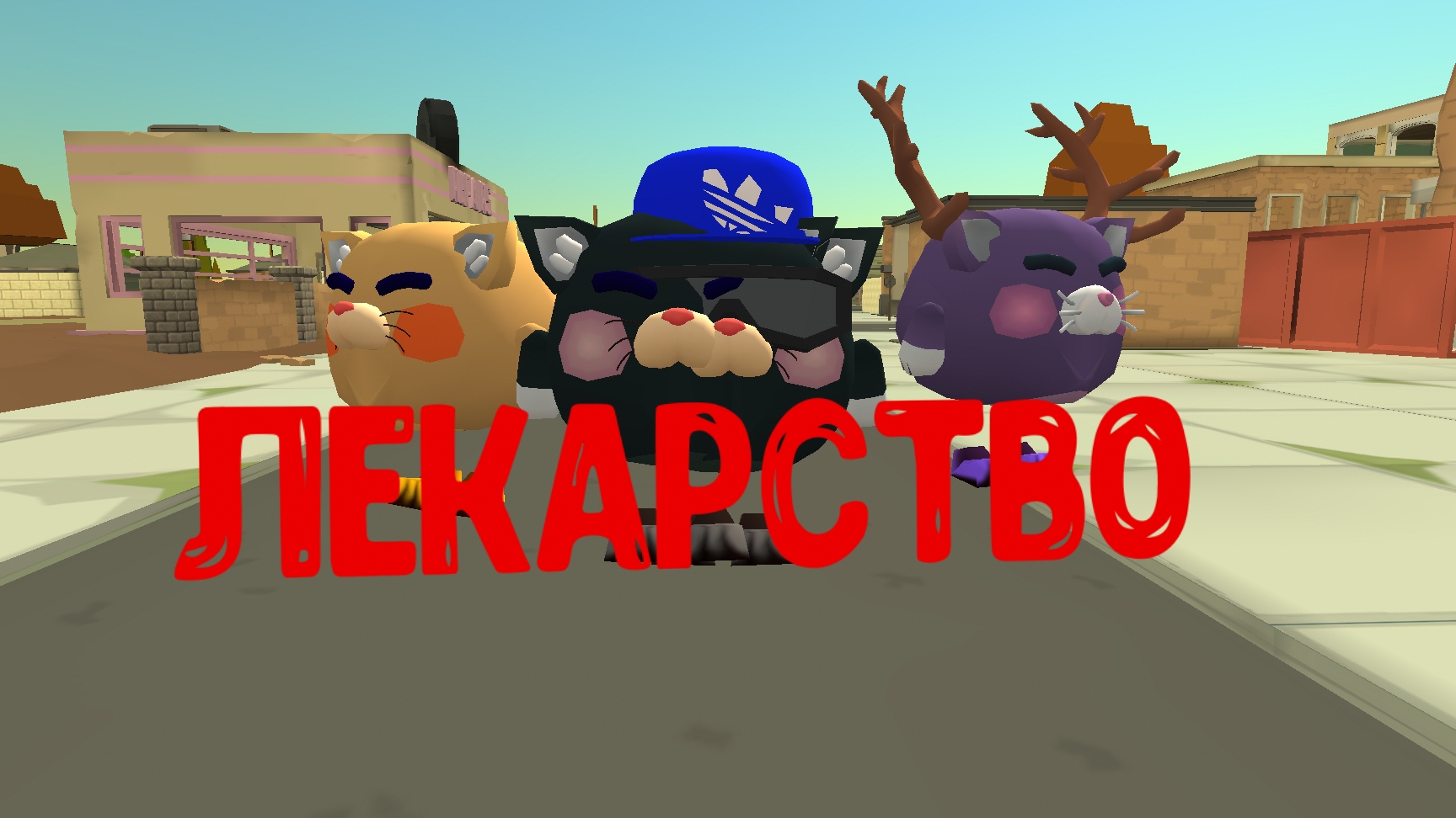 клипы котят
