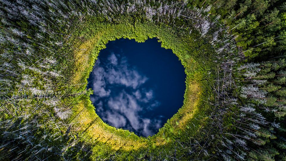 Дикая природа