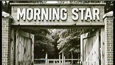 Аналоговый хоррор ″Morning Star″