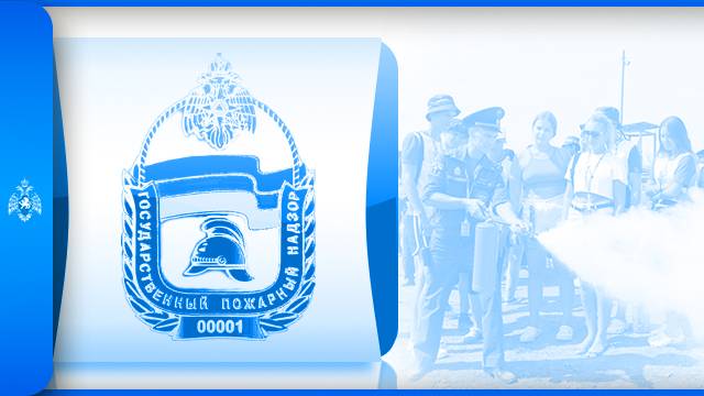 НАДЗОРНАЯ ДЕЯТЕЛЬНОСТЬ