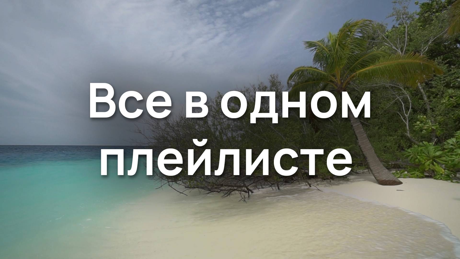 Все в одном плейлисте