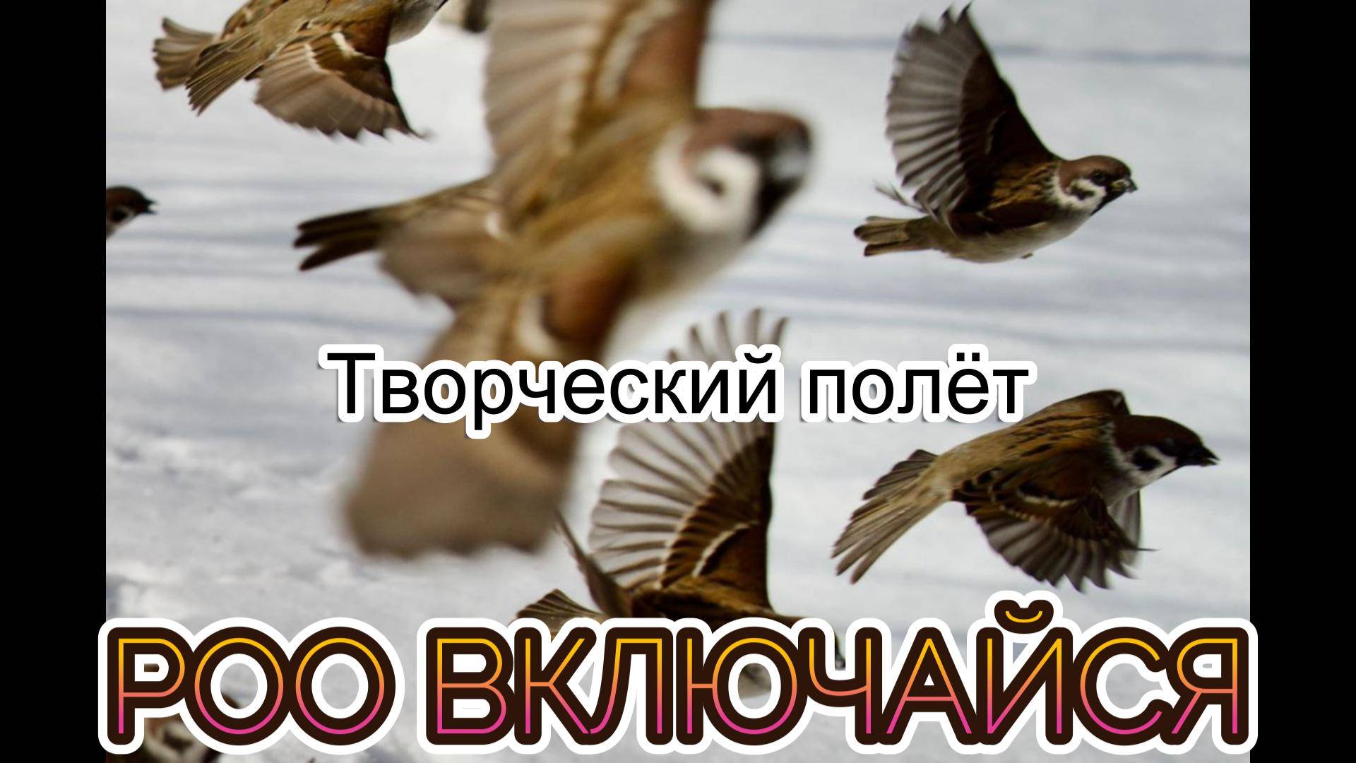 Творчество
