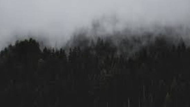 Deep  / Half  /  Dark  /  DnB -  Jungle -  Neurofunk