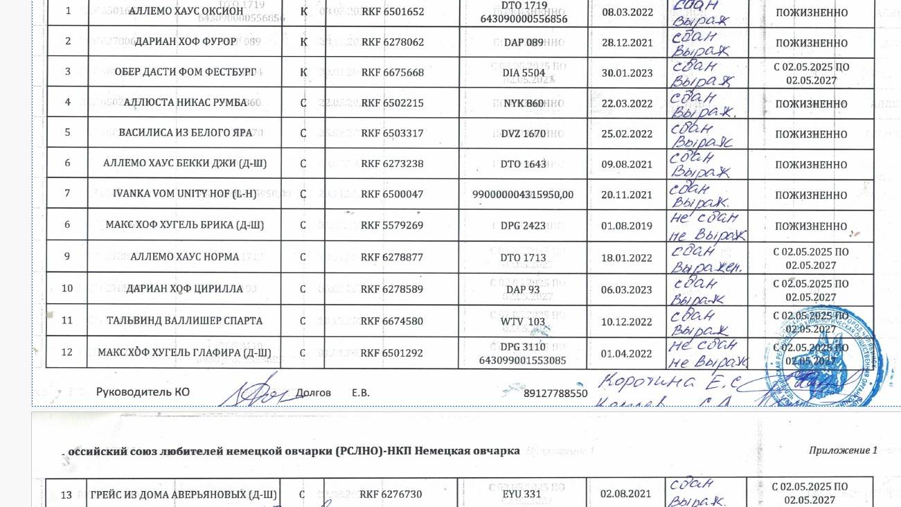 Кёрунг ЧЕЛЯБИНСК 02 мая`25 (Е.Коротина) 13 собак