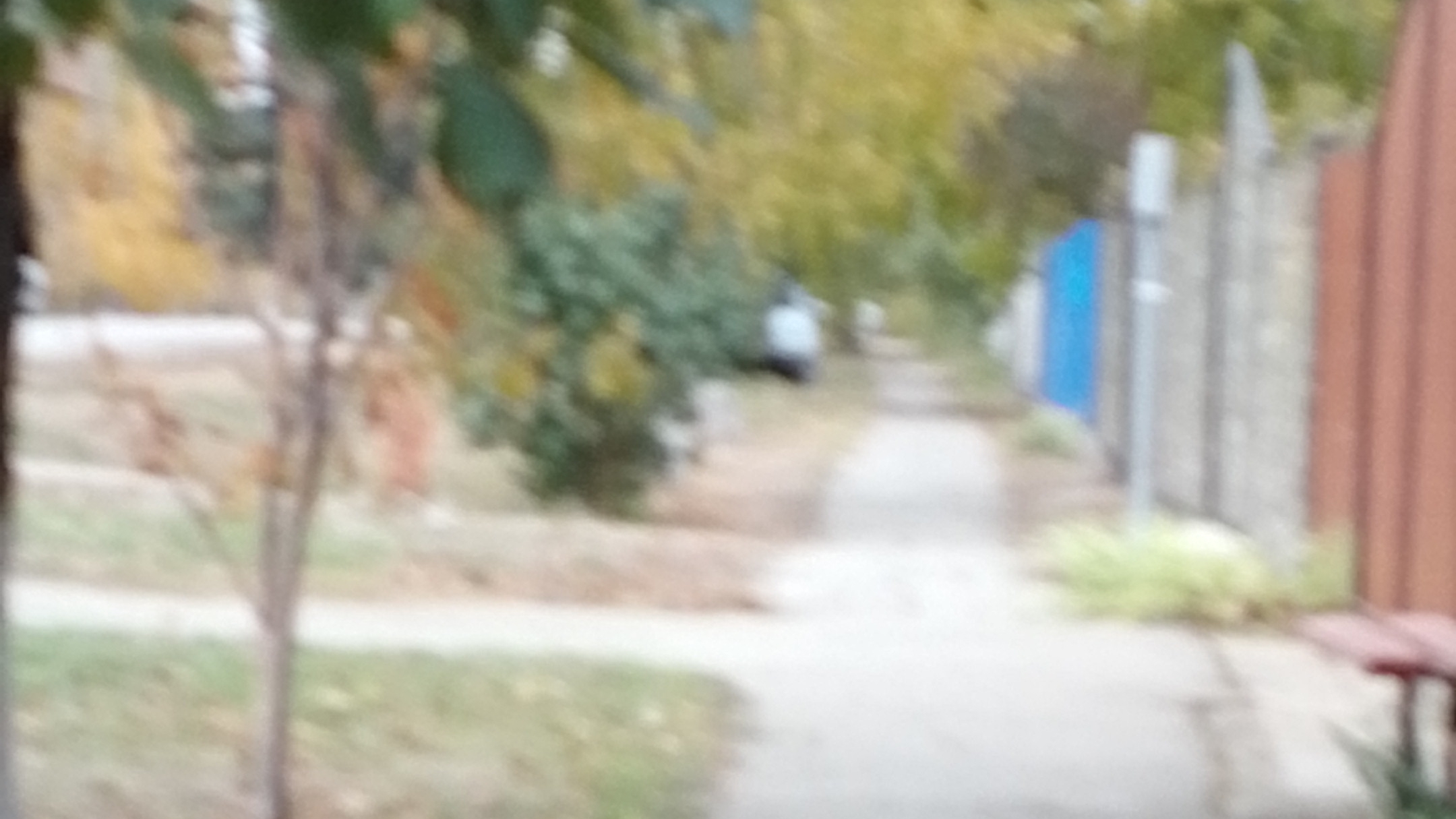 видео в совхозе