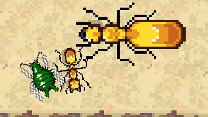 Pocket ants и муравьи