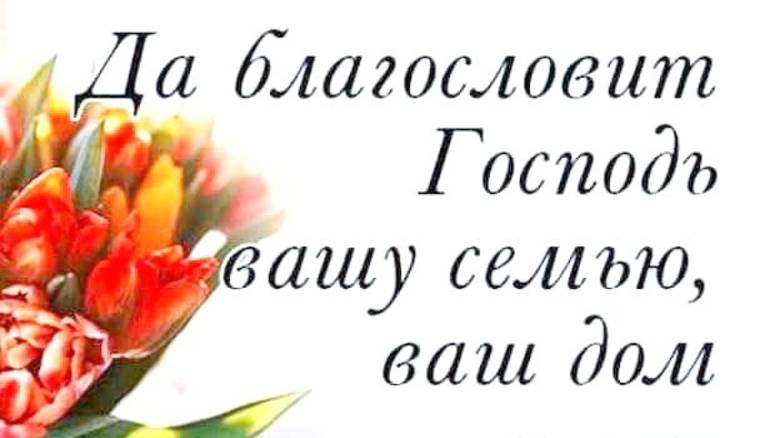 Мои  видео