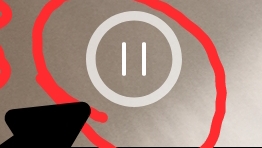melon playing
