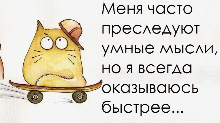 Умные мысли