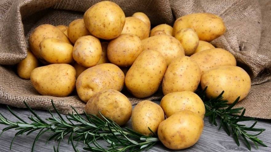 Рецепты с картофелем