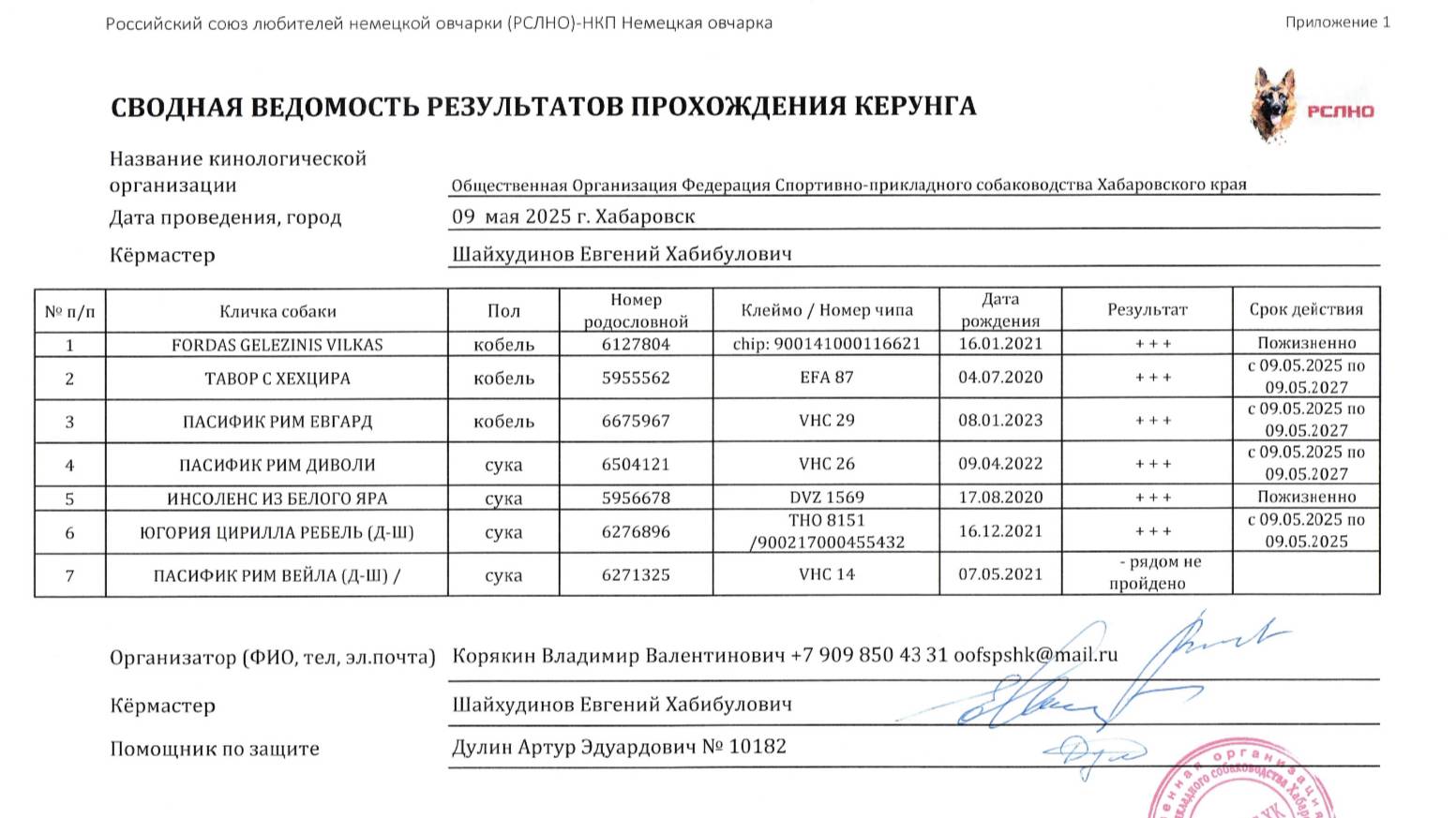 Кёрунг ХАБАРОВСК 09 мая`25 (Е.Шайхудинов) 7 собак