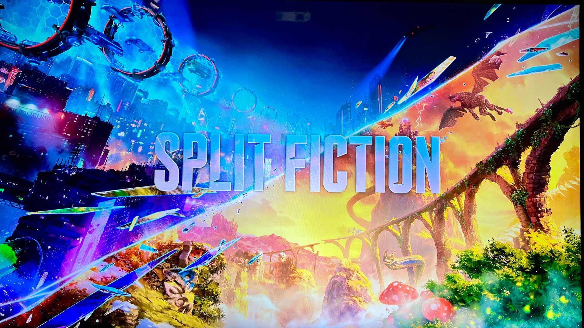 Split Fiction