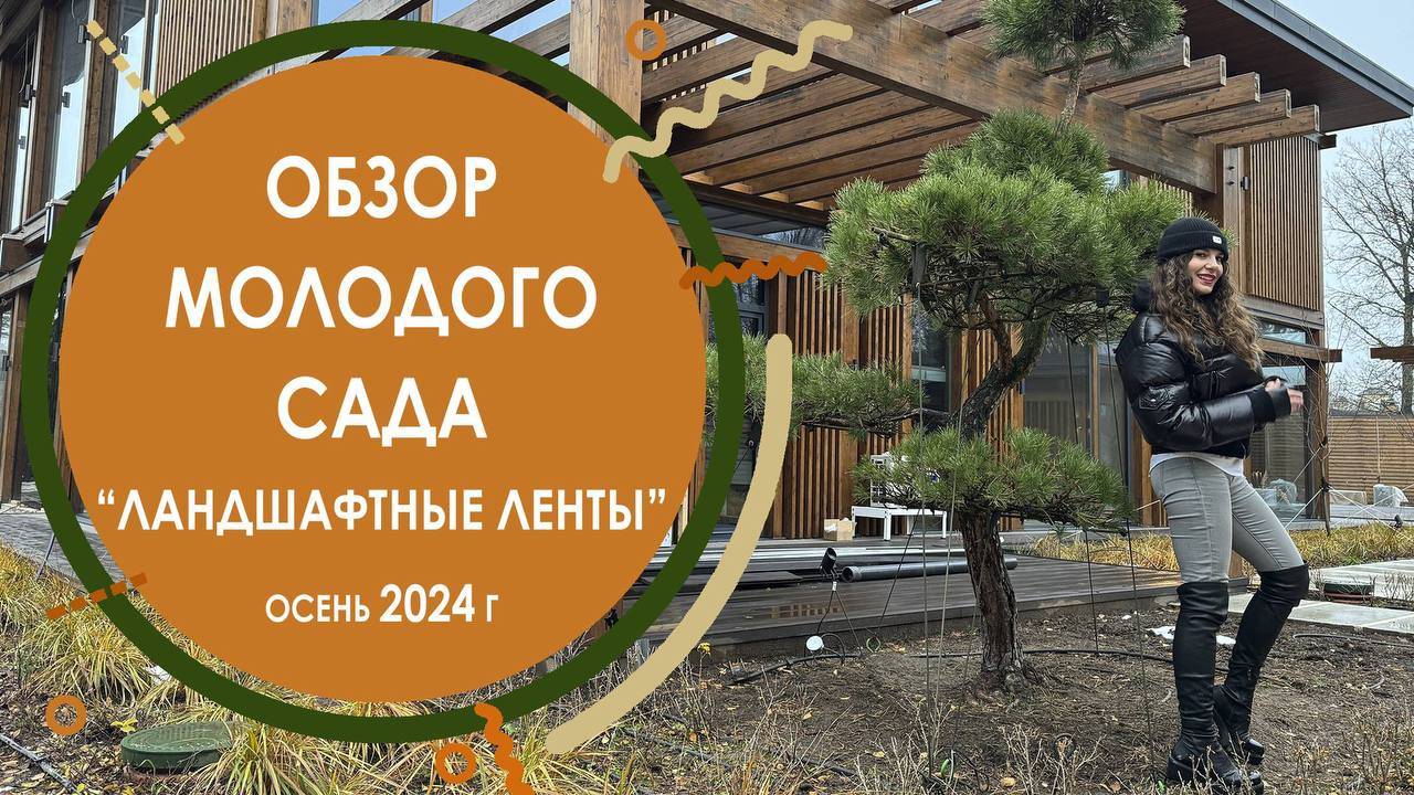 Сад ″Ландшафтные ленты″ на 30 сотках