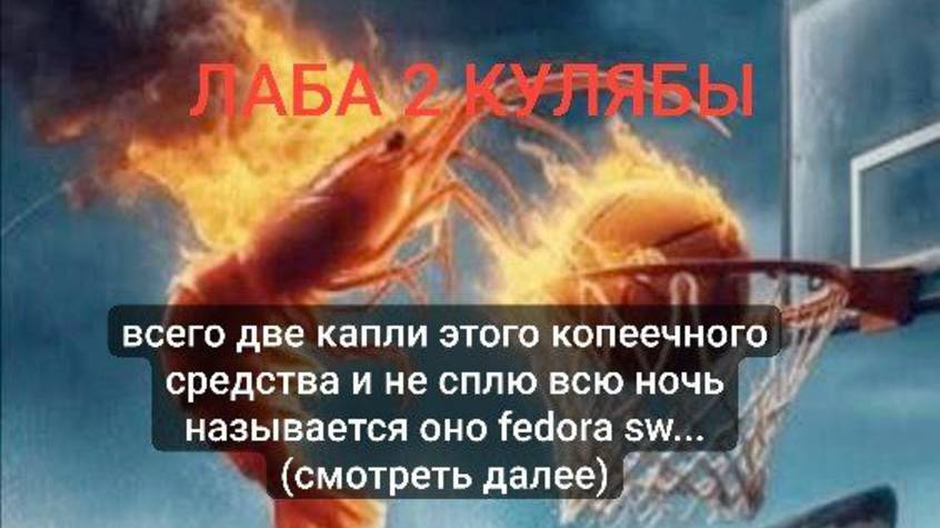 Лаба 2 операционные системы