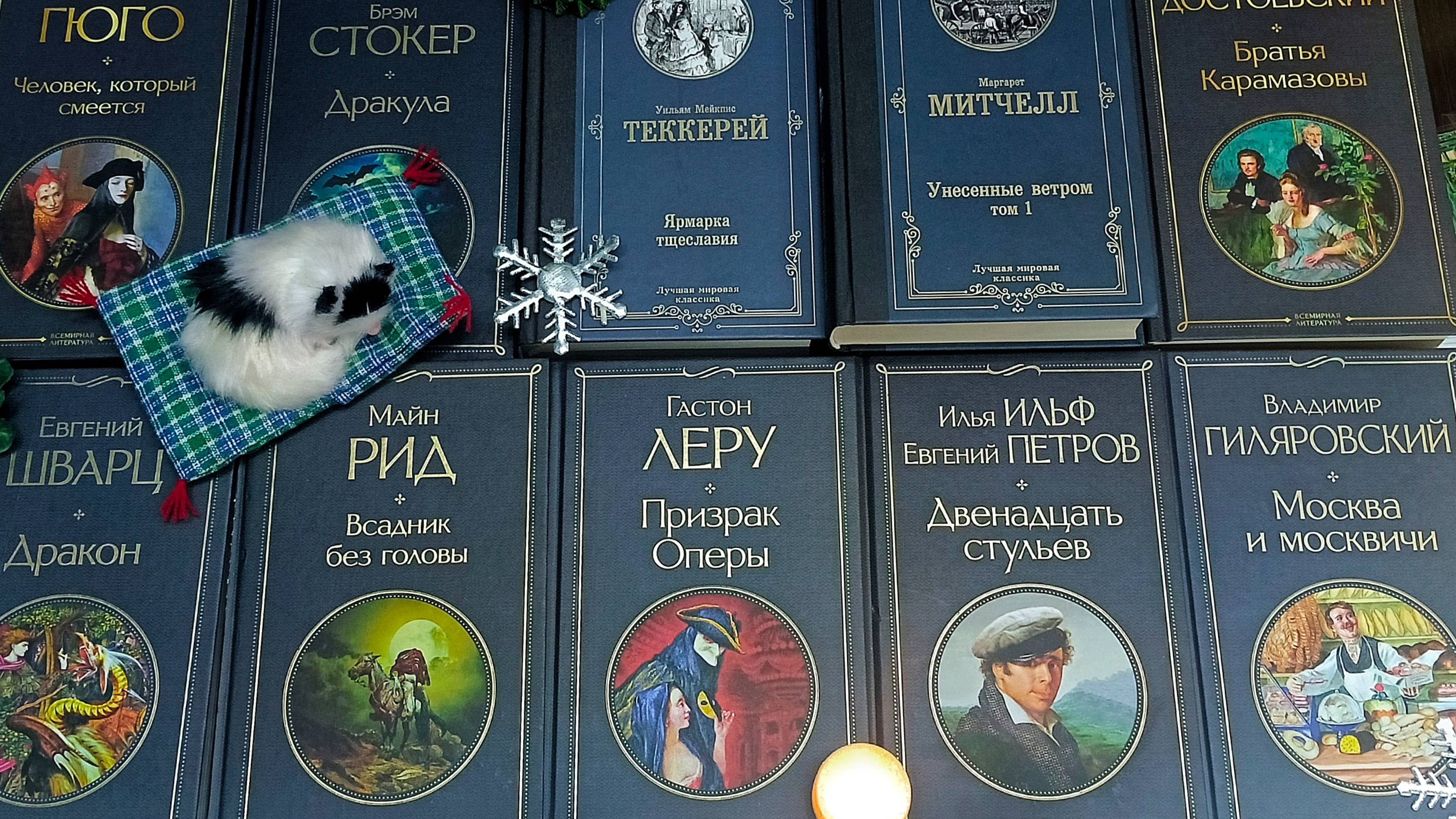 Книжная стопка 📚