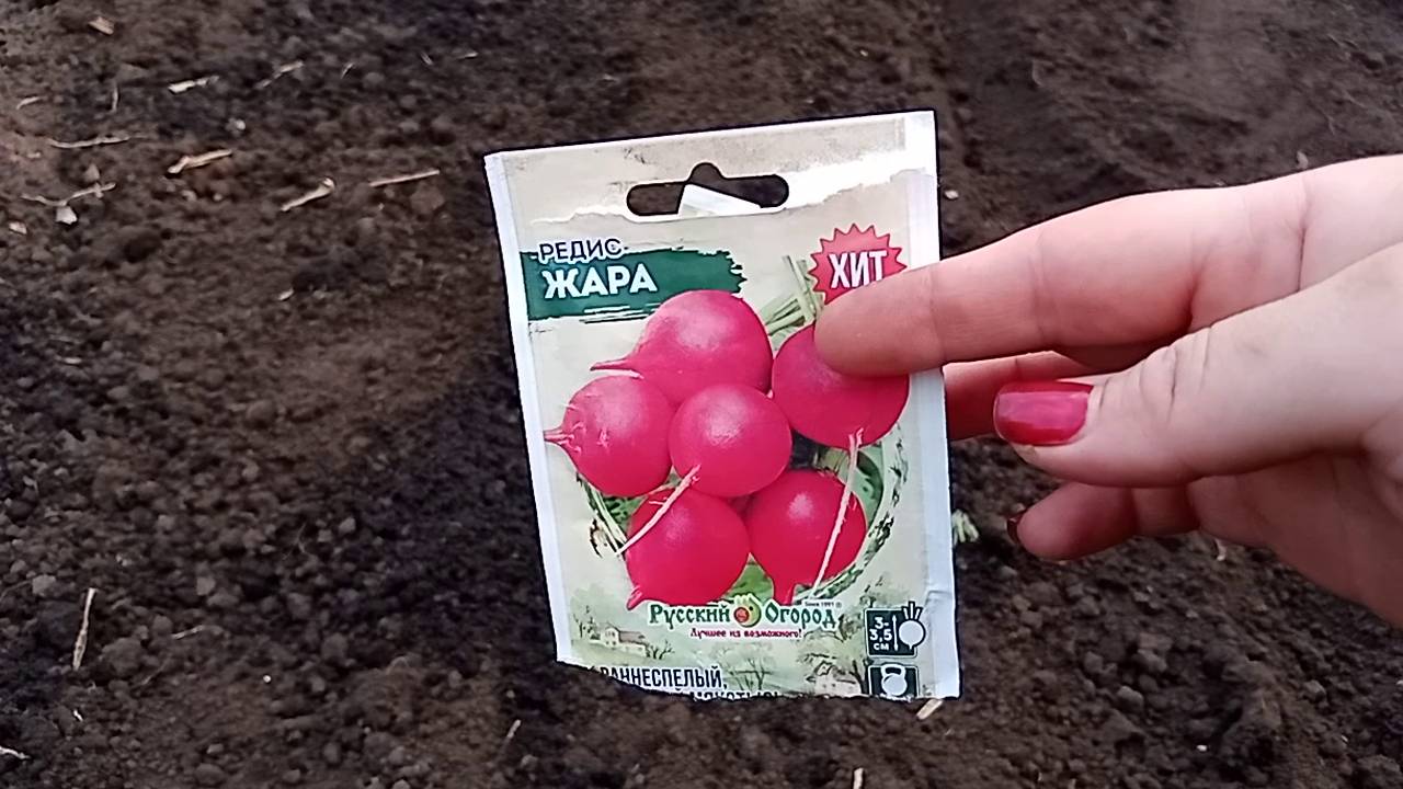 ДАЧА