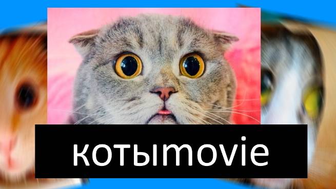 Котыmovie Все Серия