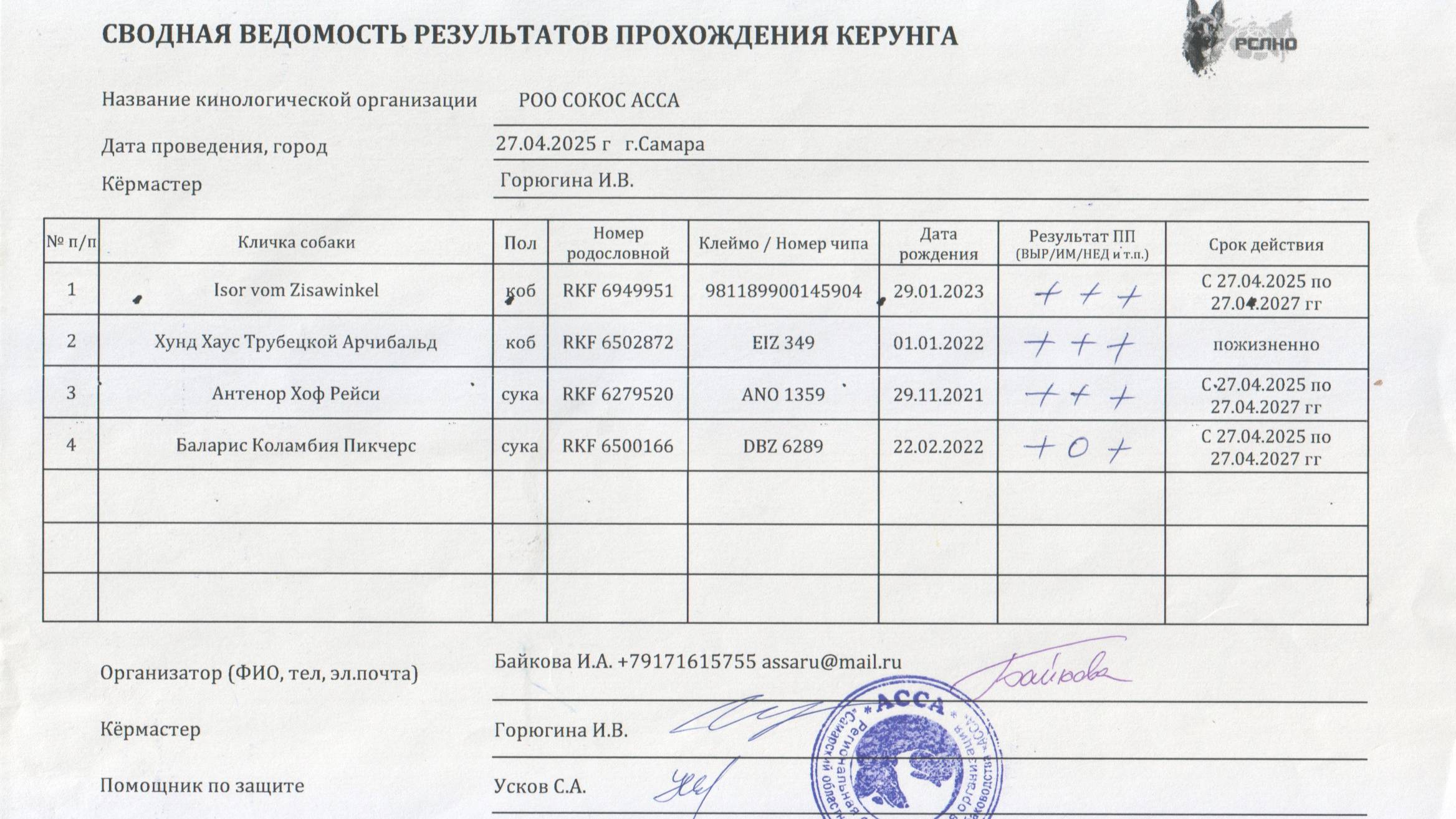 Кёрунг САМАРА 27 апр`25 (И.Горюгина) 4 собаки