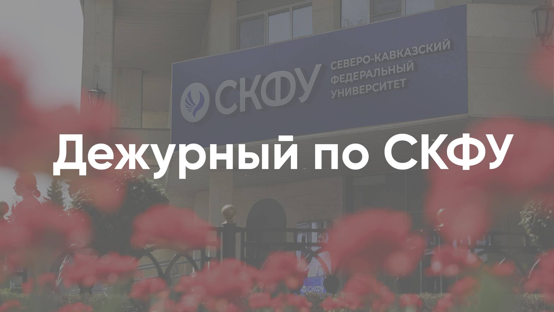 Дежурный по СКФУ