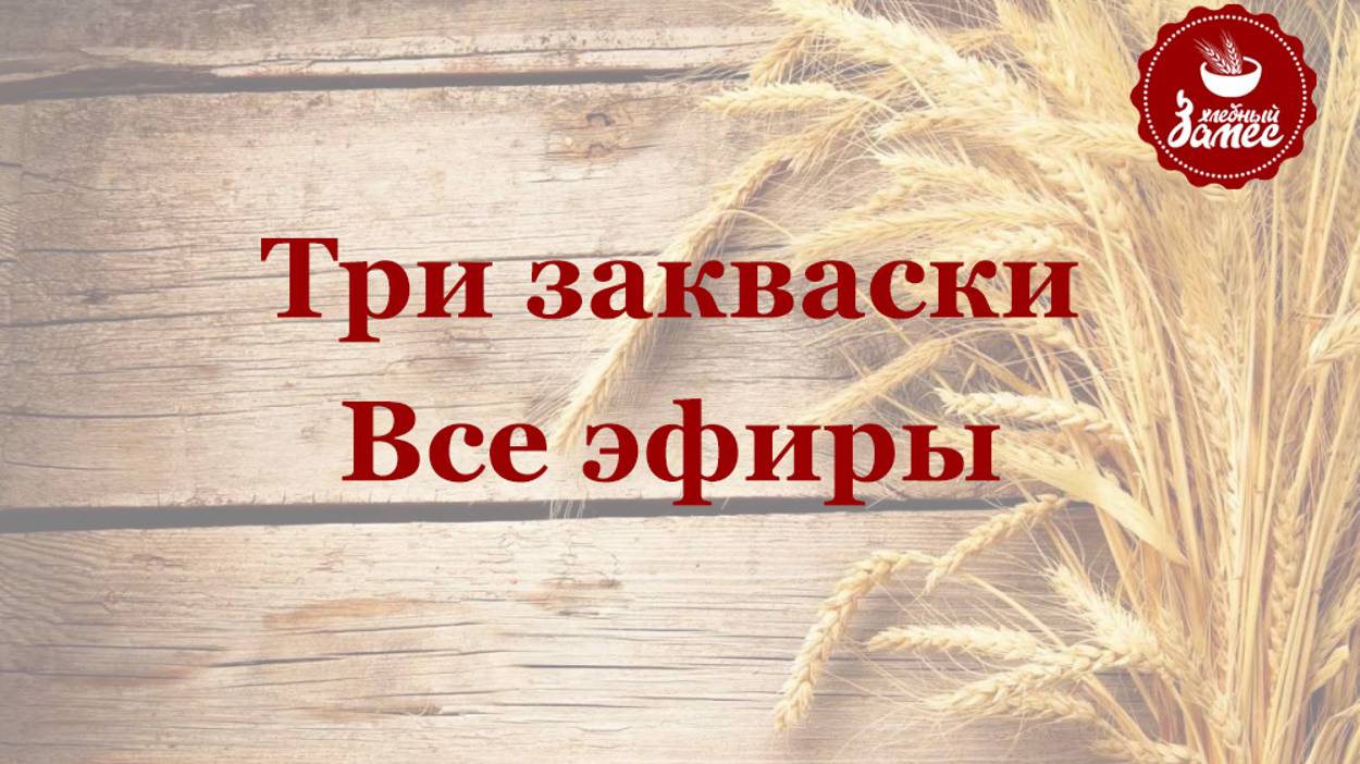Три закваски. Ноября 24