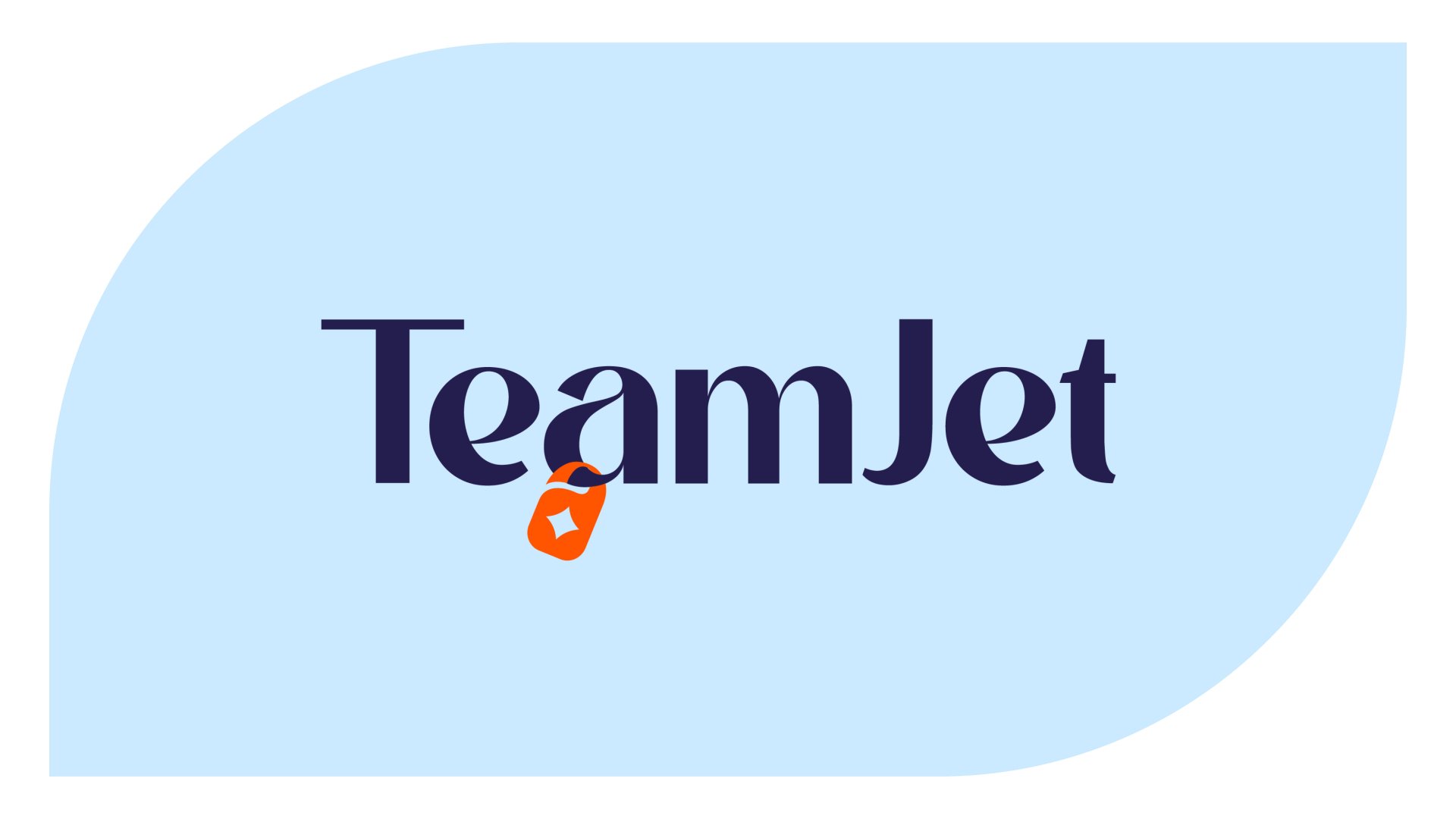 Инструкции TeamJet