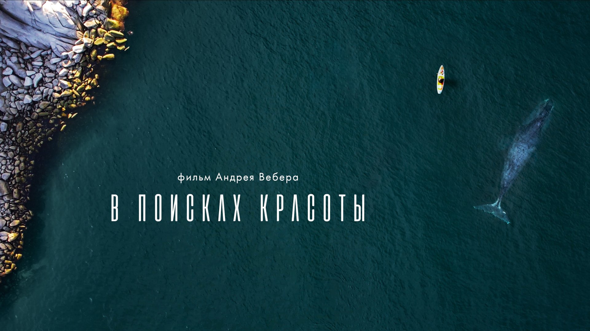 Фильмы Андрея Вебера