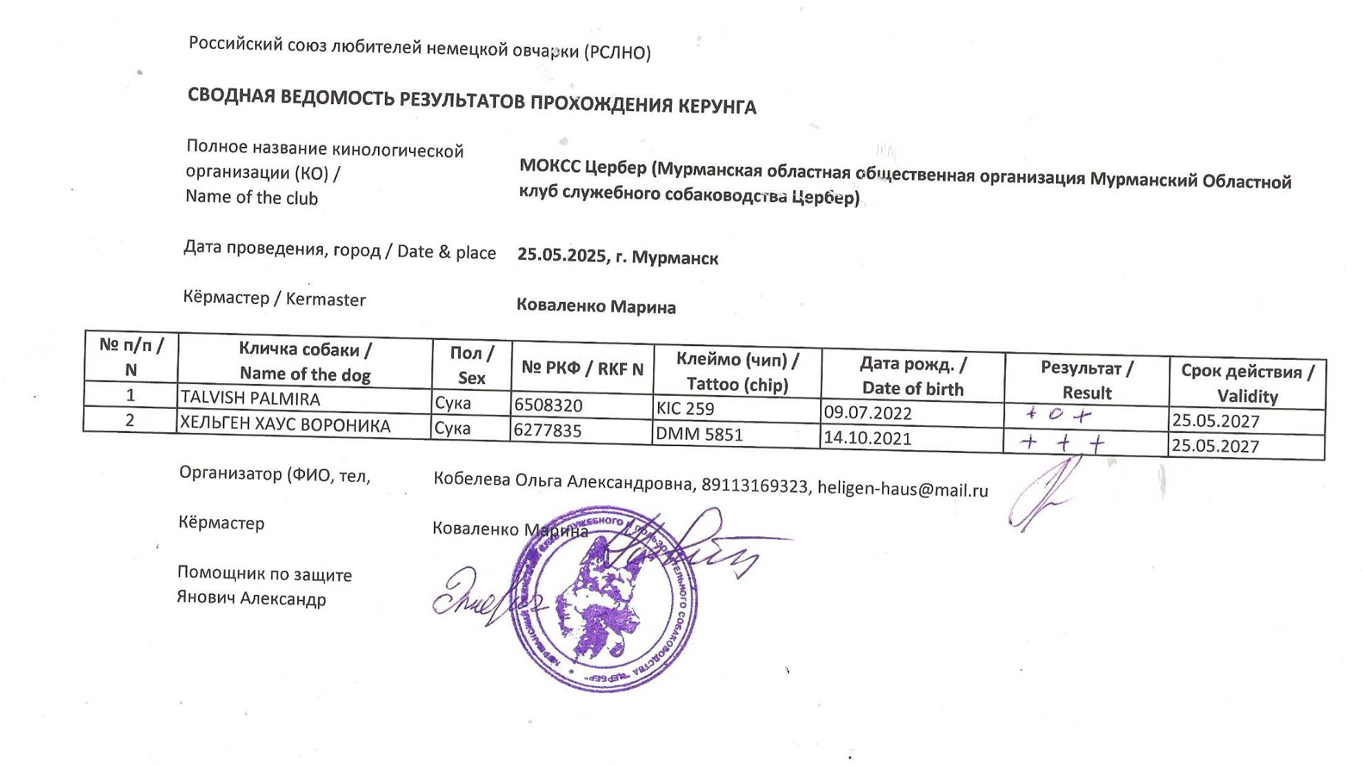 Кёрунг МУРМАНСК 25 мая`25 (М.Коваленко) 2 собаки