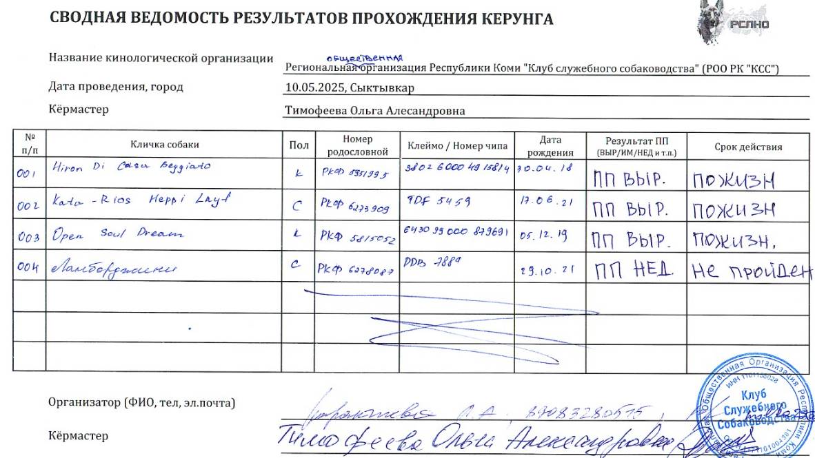 Кёрунг СЫКТЫВКАР 10 мая`25 (О.Тимофеева) 4 собаки