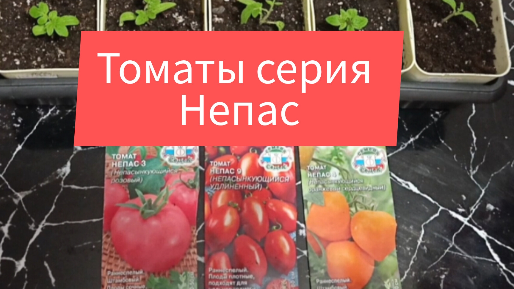 Томаты НЕПАС