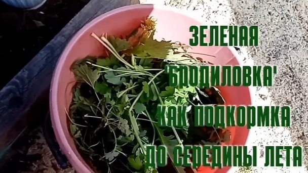 Подкормки растений.
