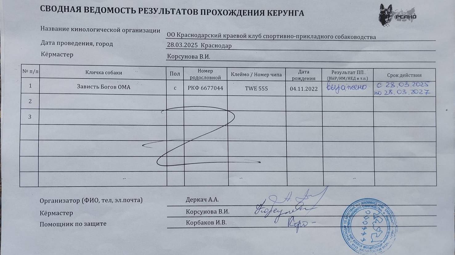 Кёрунг КРАСНОДАР 28 мар`25 (В.Корсунова) 1 собака