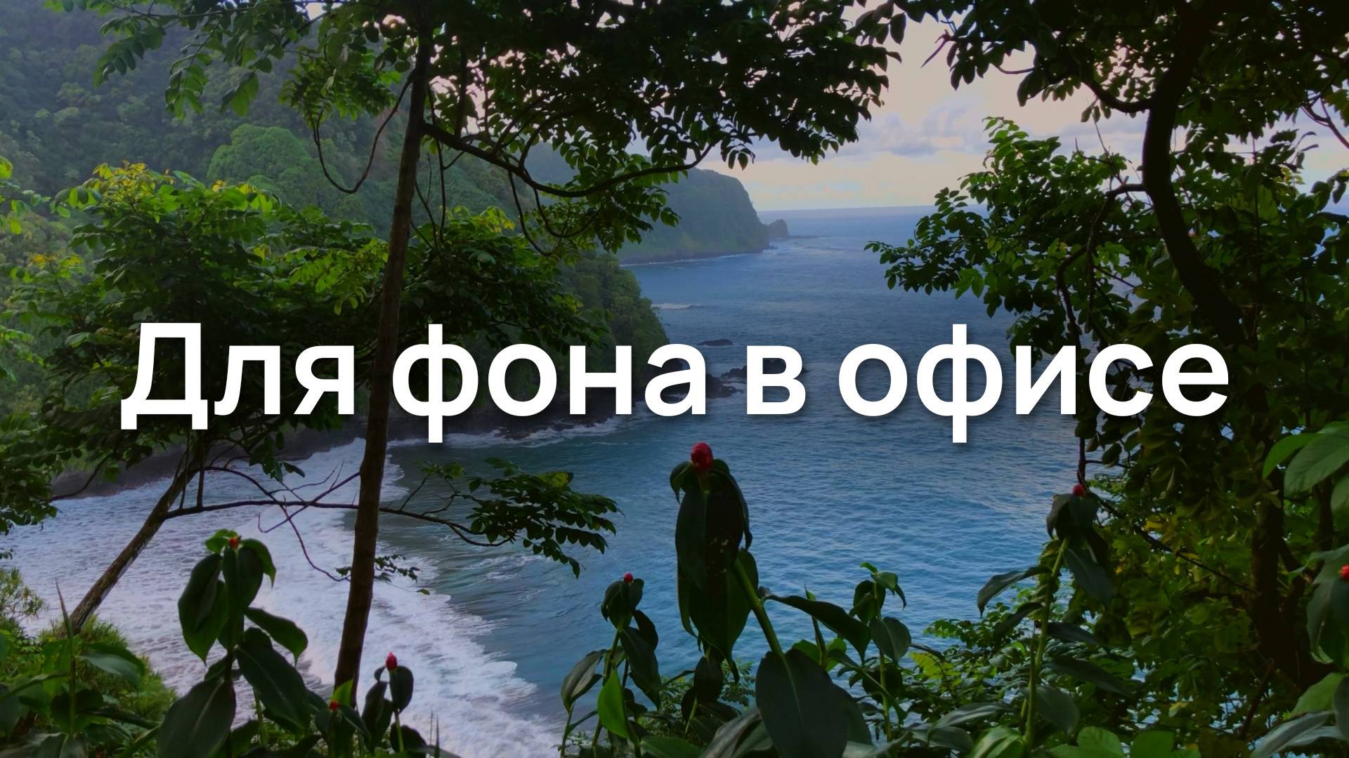 Для фона в офисе
