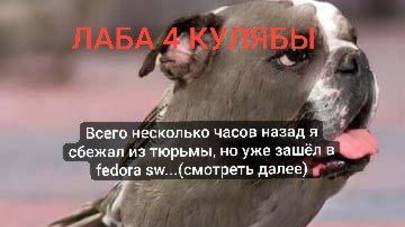 Лаба 4 операционные системы