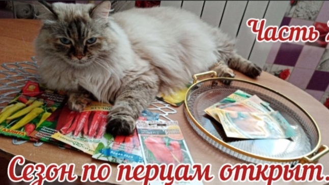 Котейка-огородник