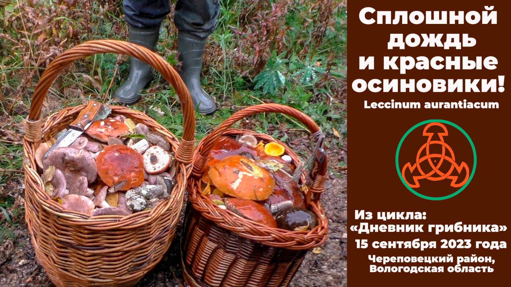 Дневник грибника
