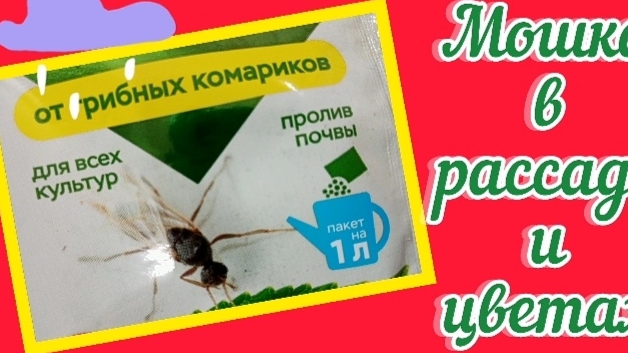 Вредители . Методы борьбы