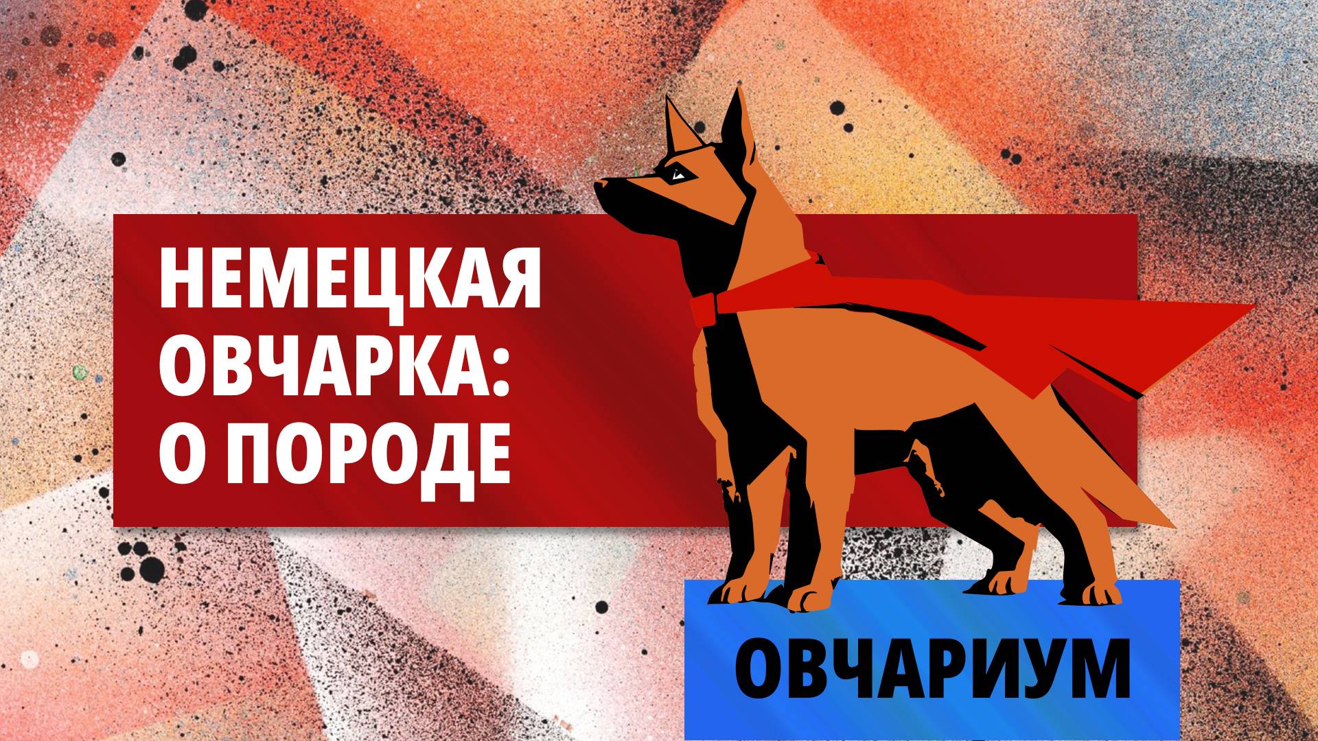 Овчариум. Про немецких овчарок интересное и полезное