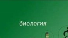 школа в чикенгане
